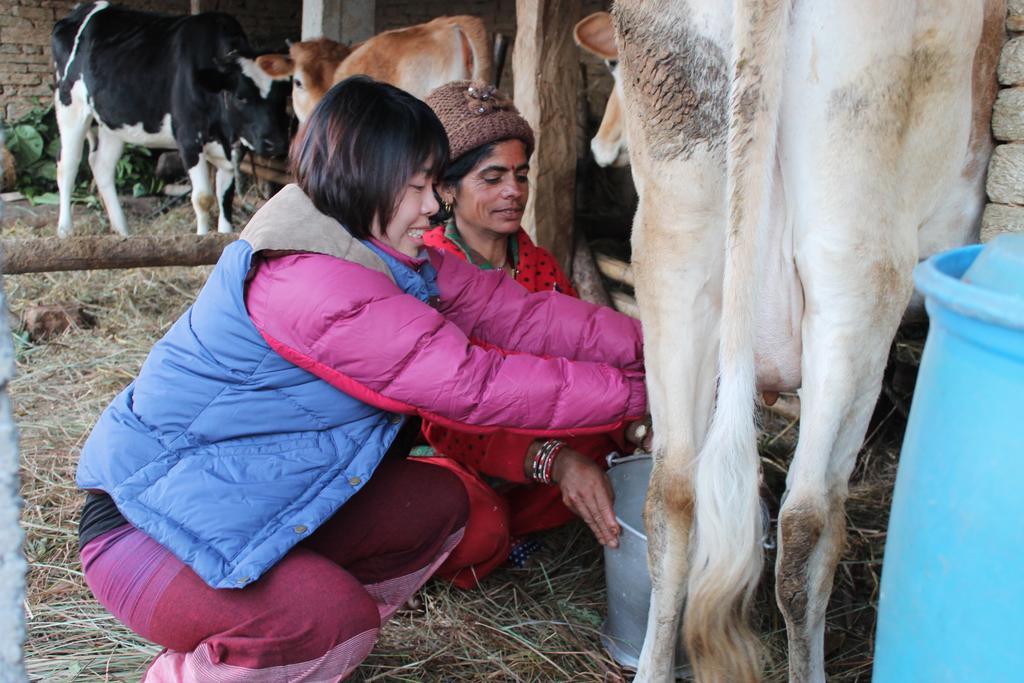 Annapurna Eco Village Pokhara Zewnętrze zdjęcie