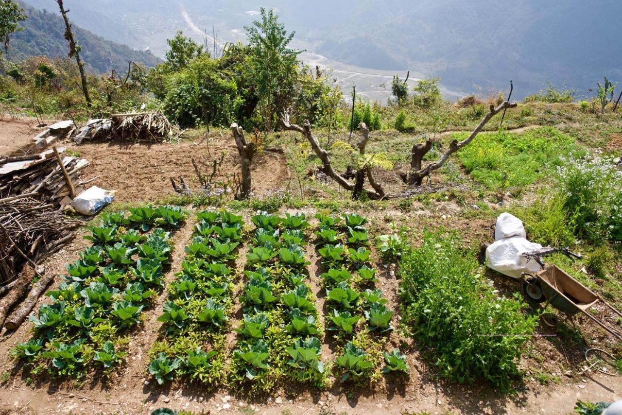 Annapurna Eco Village Pokhara Zewnętrze zdjęcie