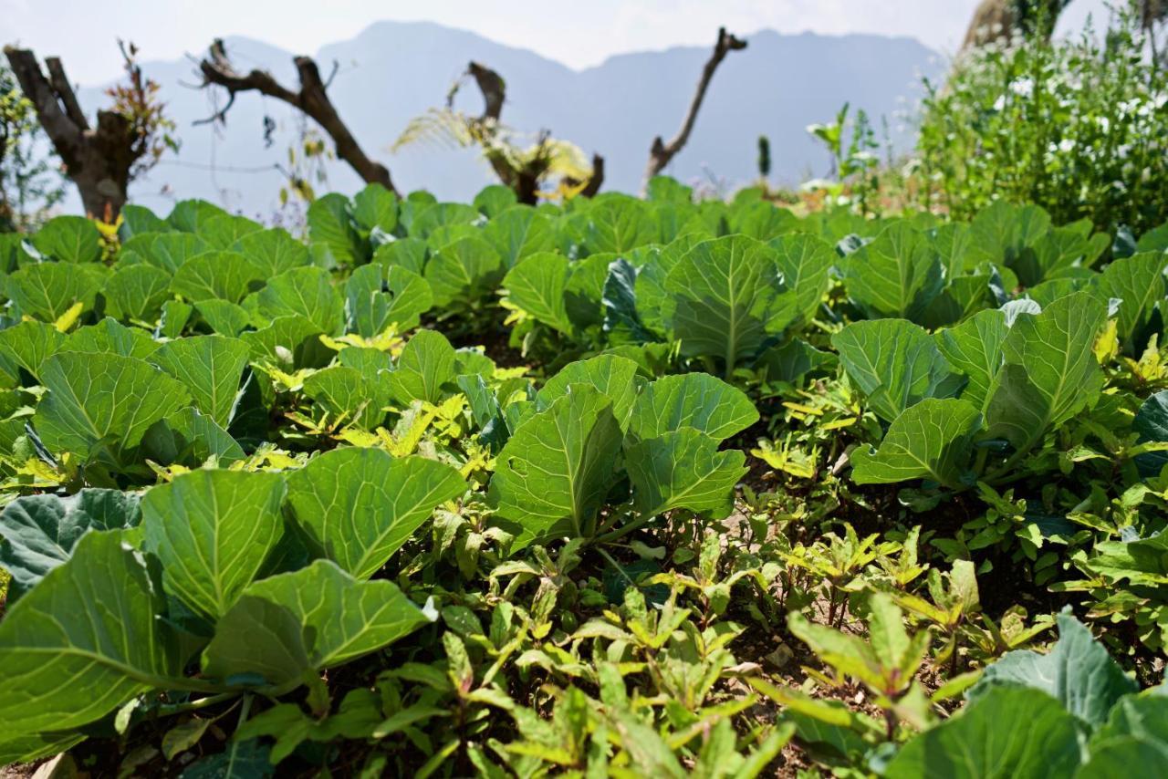 Annapurna Eco Village Pokhara Zewnętrze zdjęcie